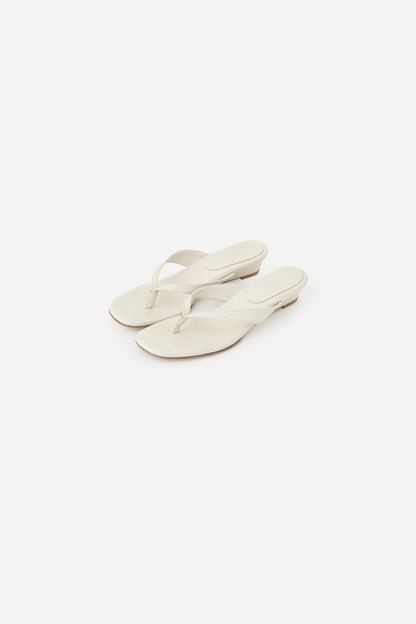 color_cream