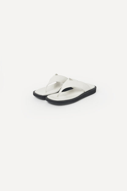 color_ivory