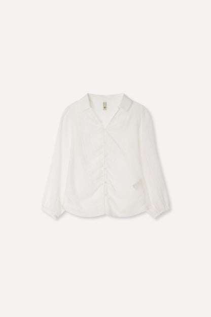 color_ivory