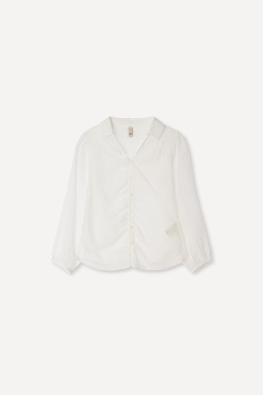 color_ivory