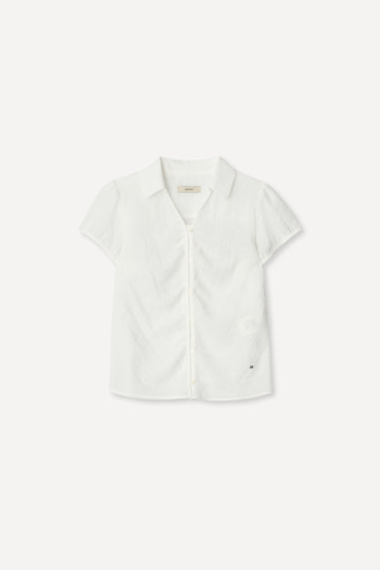 color_ivory