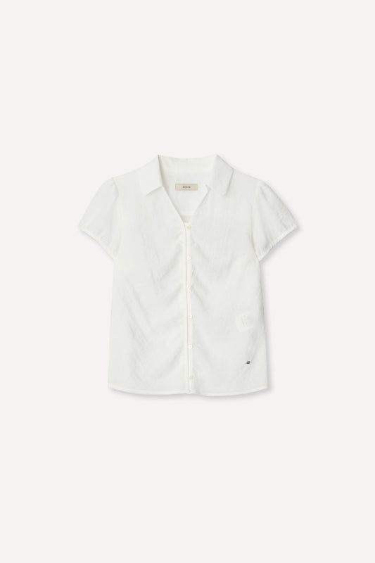 color_ivory