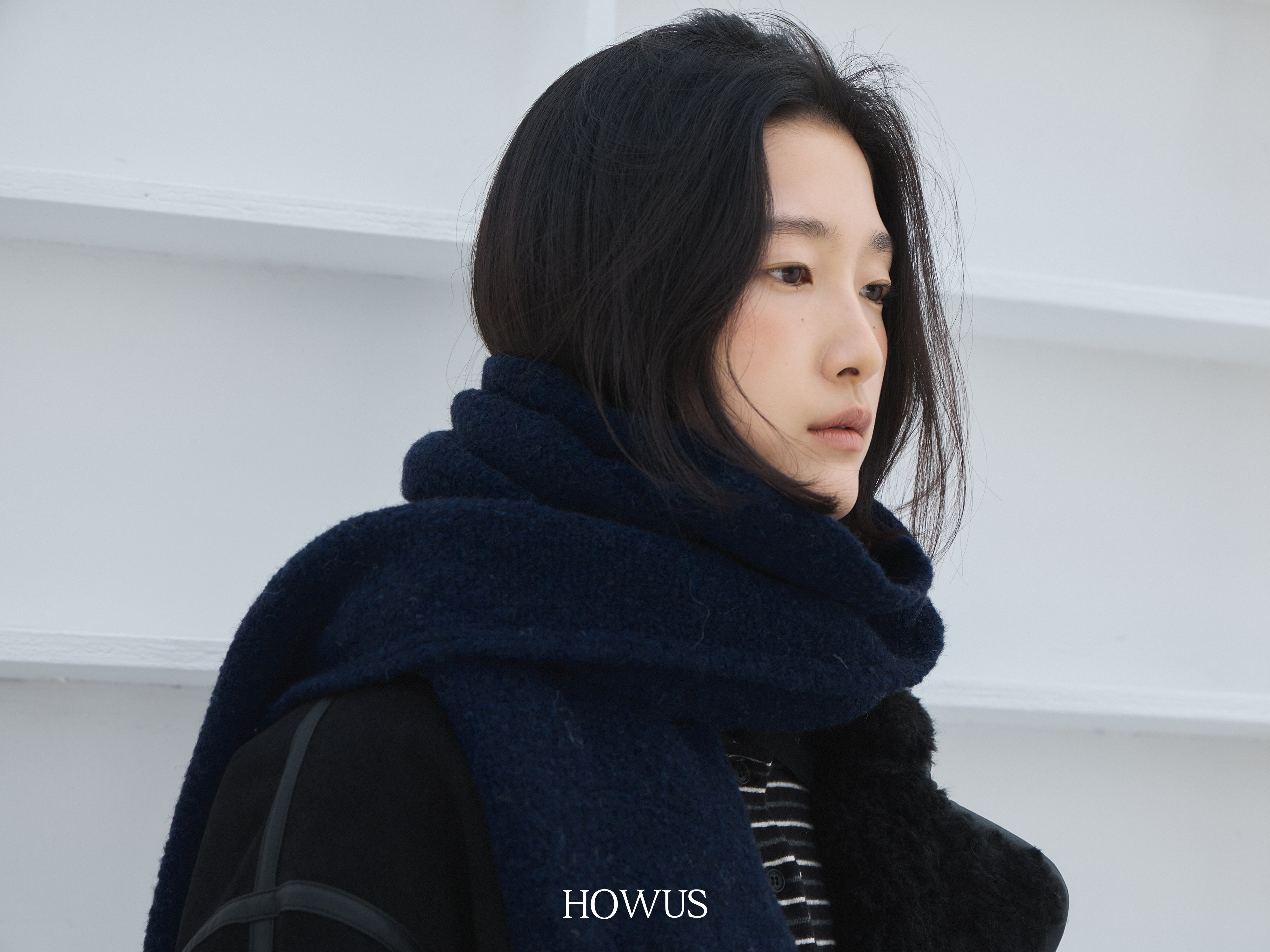 color_navy