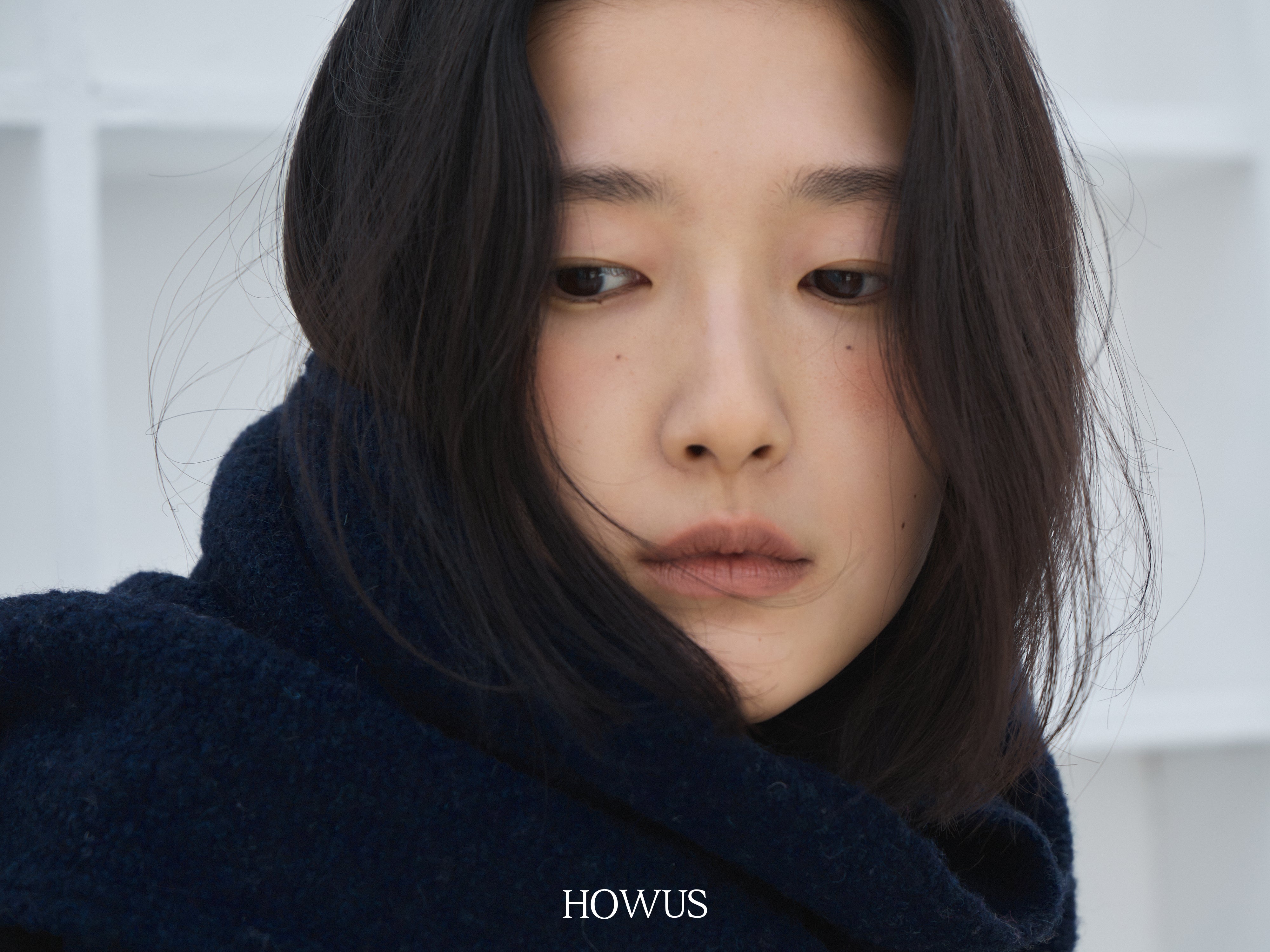 color_navy
