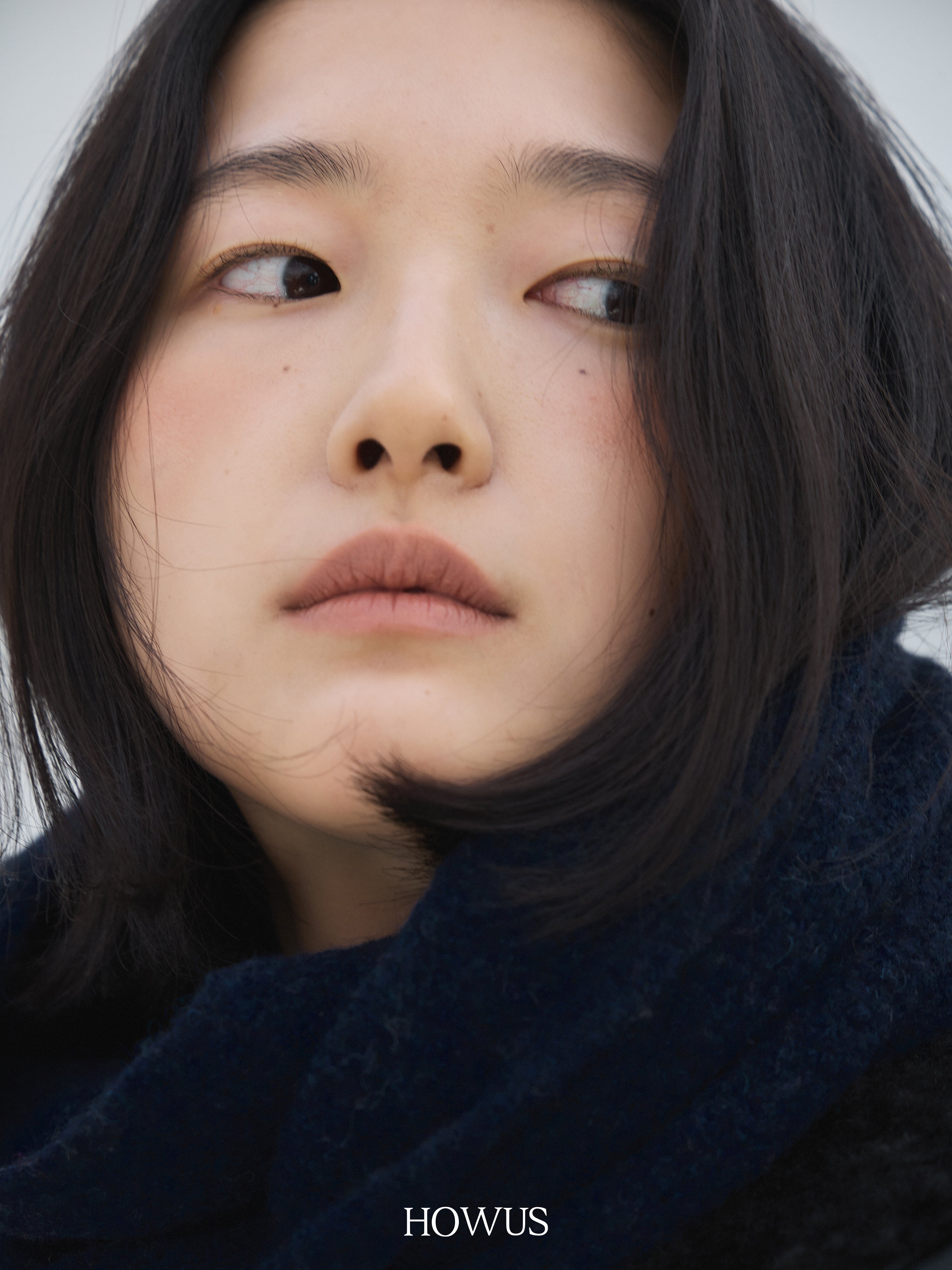 color_navy