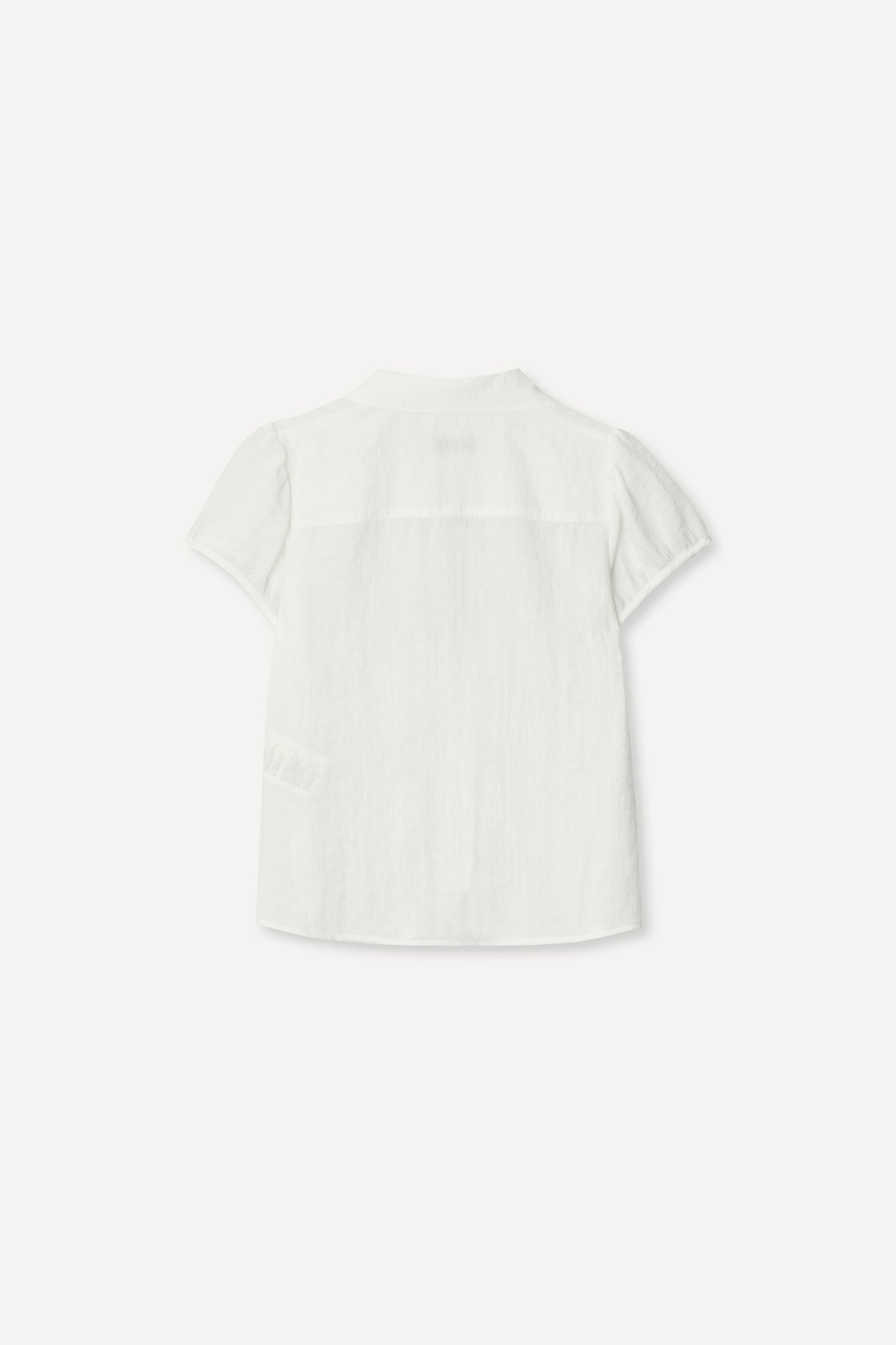 color_ivory