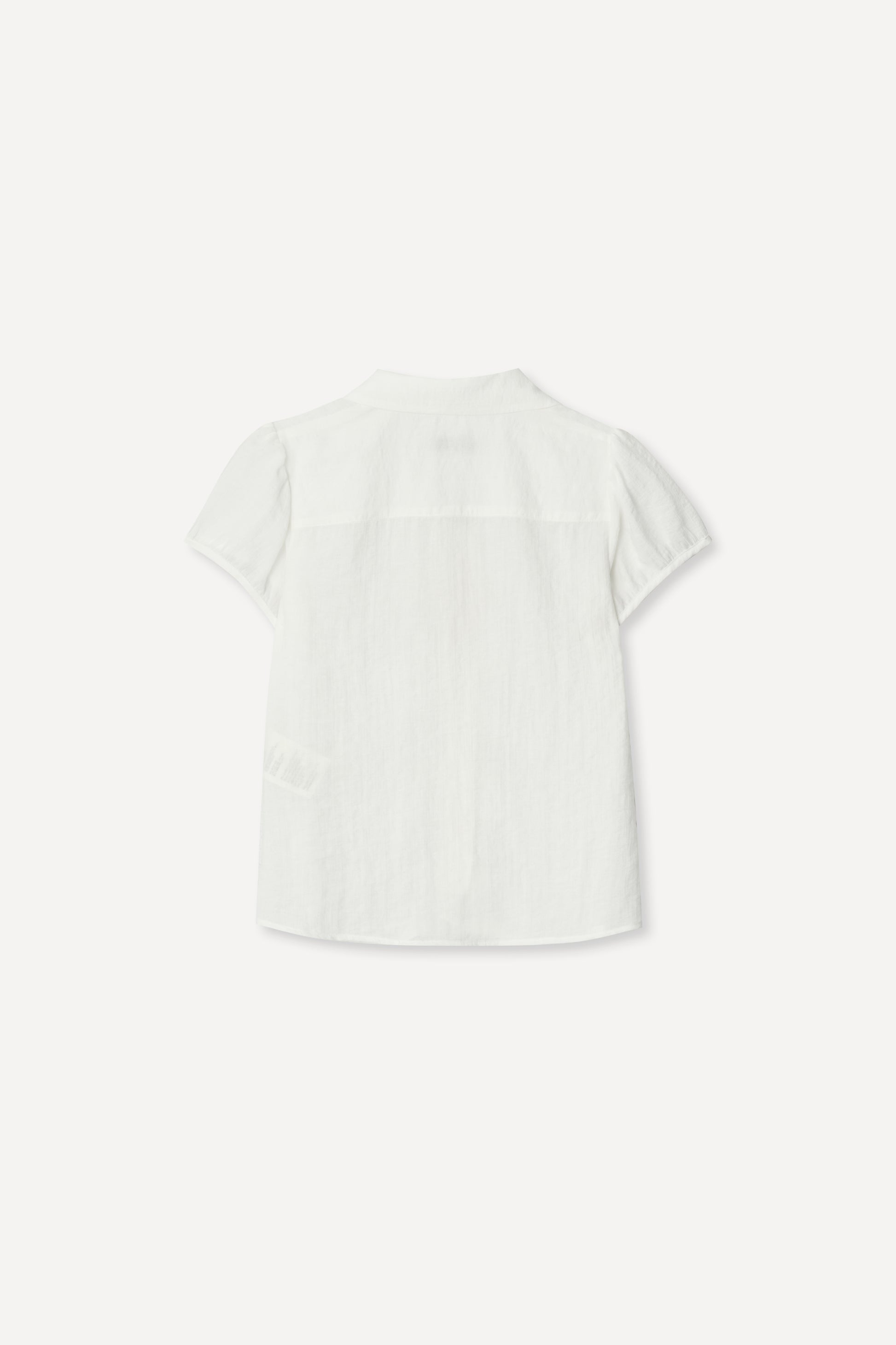 color_ivory