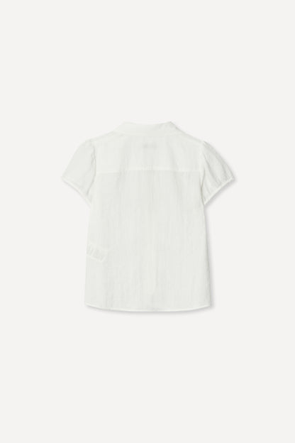 color_ivory