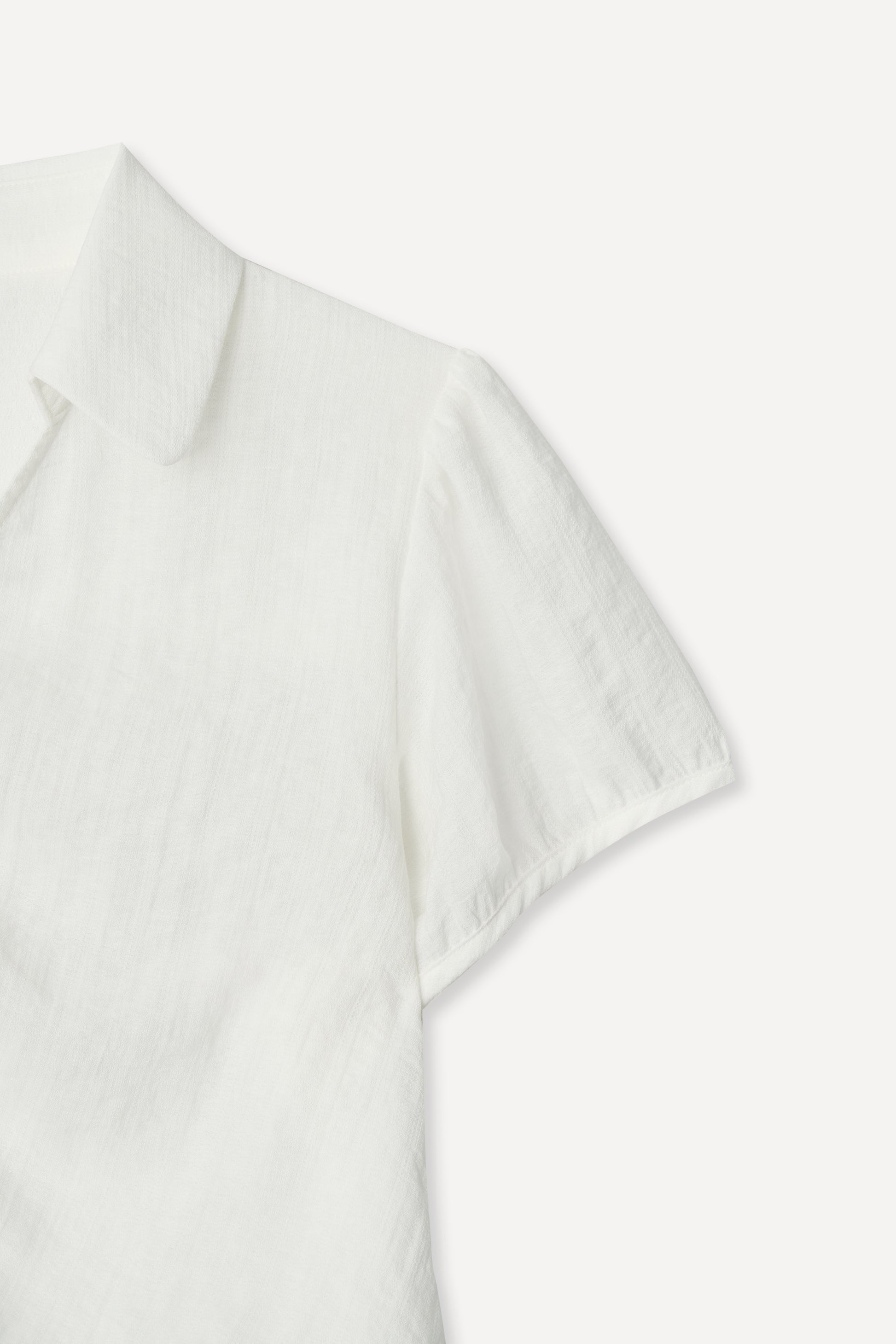 color_ivory