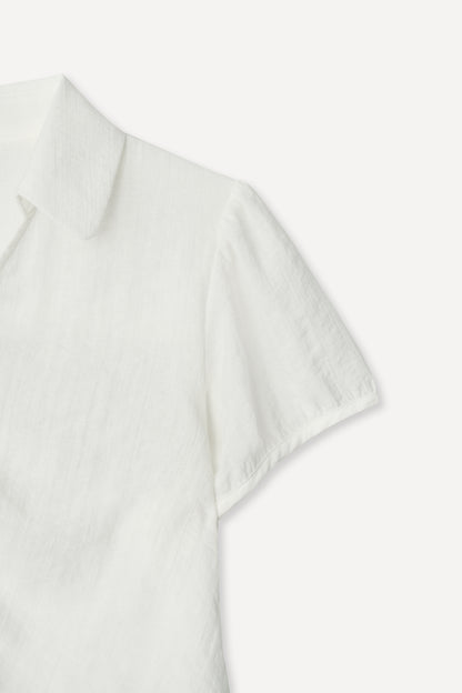 color_ivory