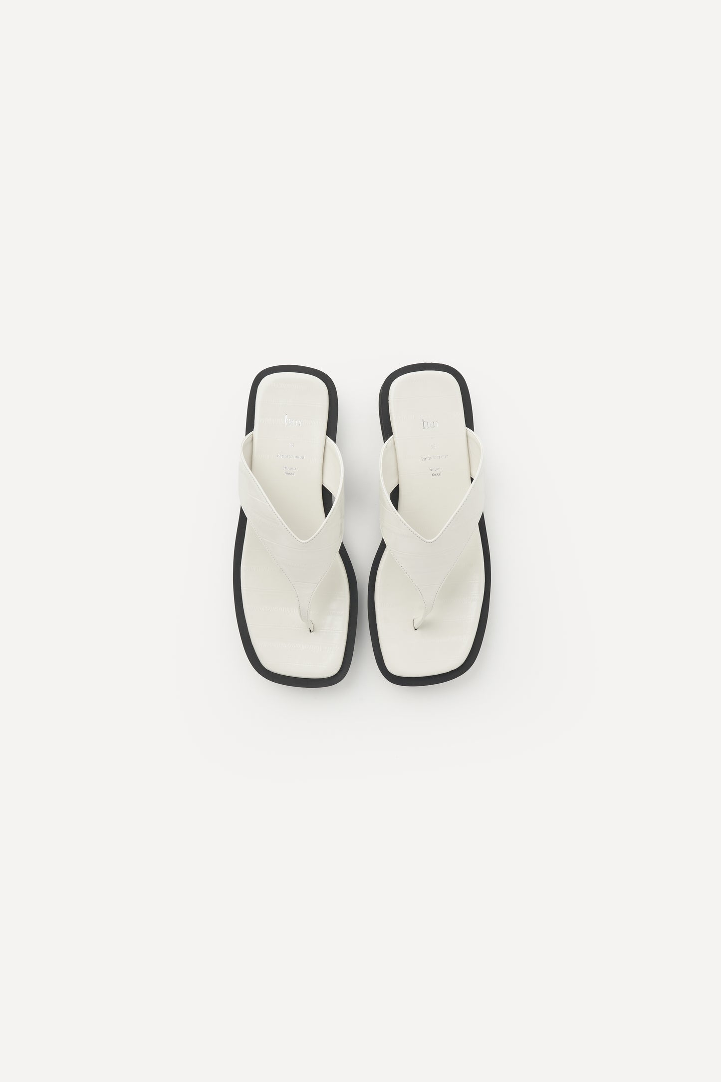 color_ivory