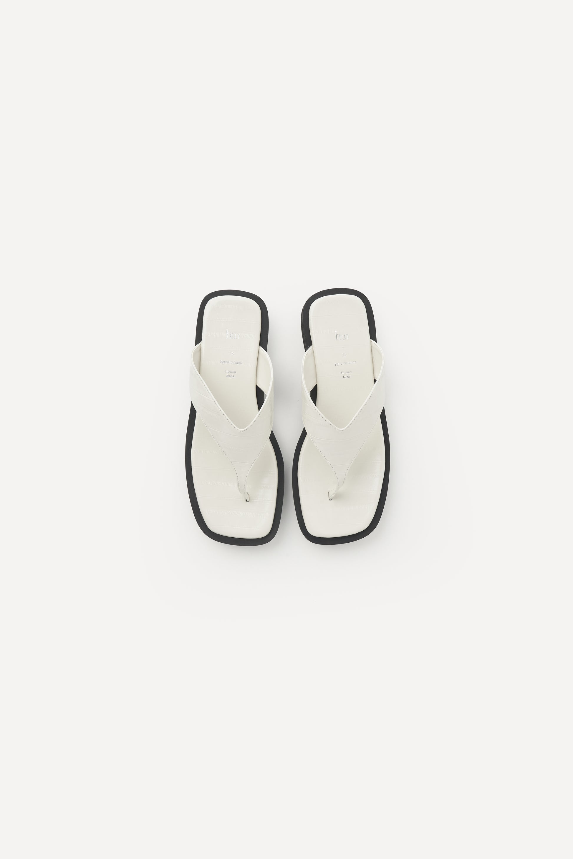color_ivory