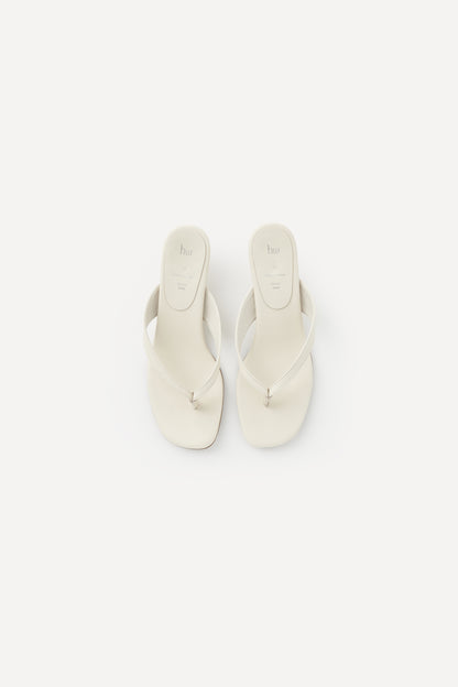 color_cream