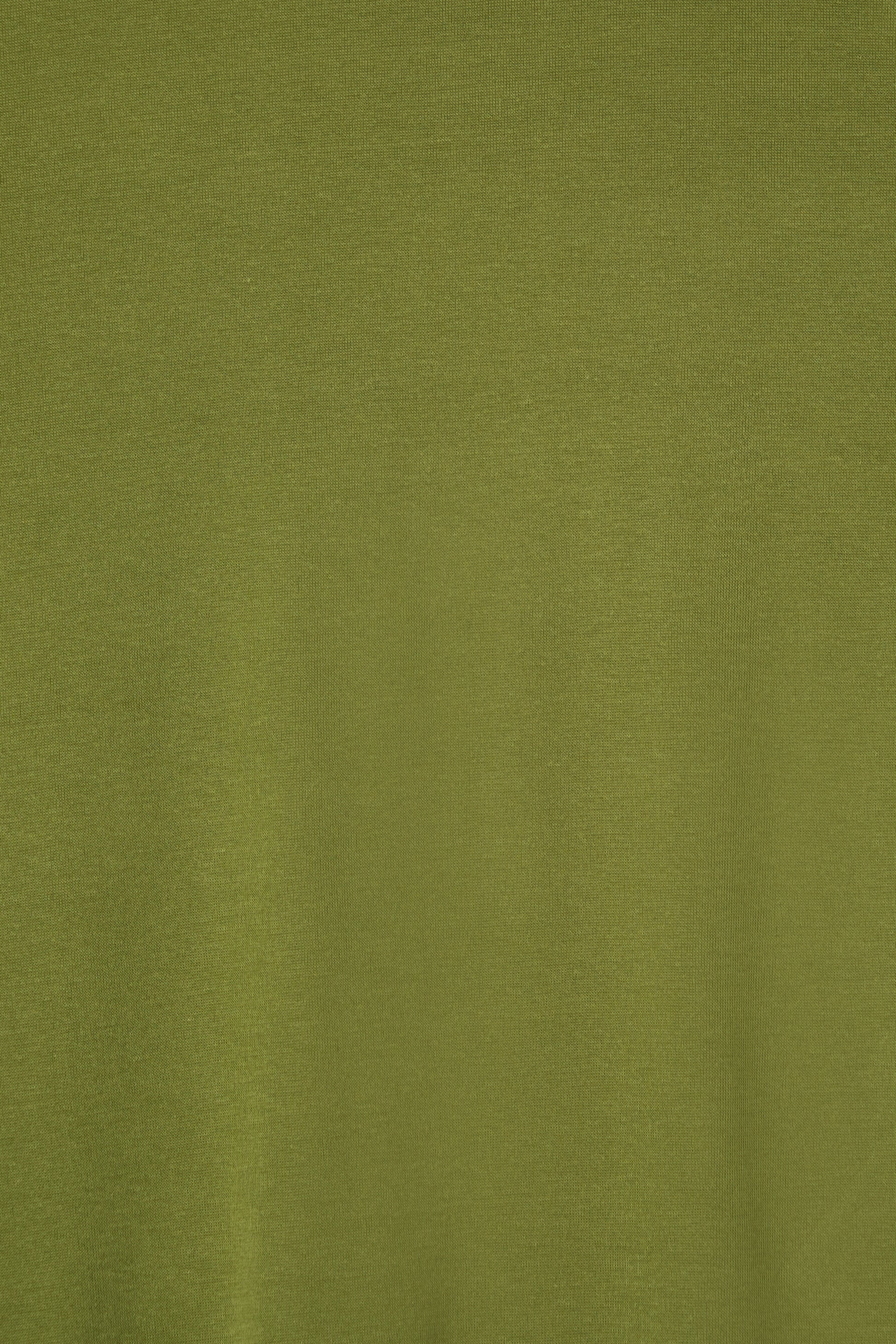 color_olive