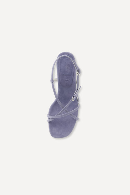 color_violet