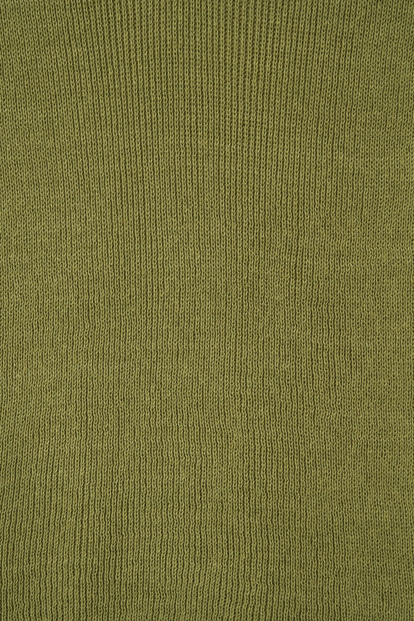 color_olive