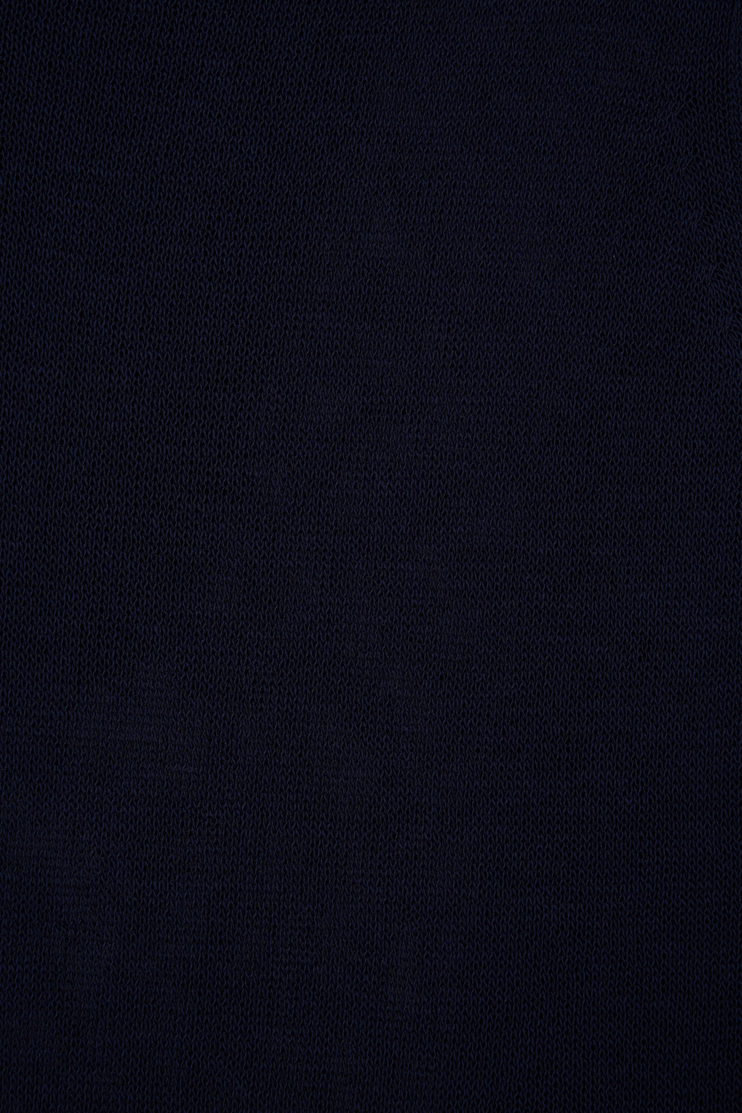color_navy