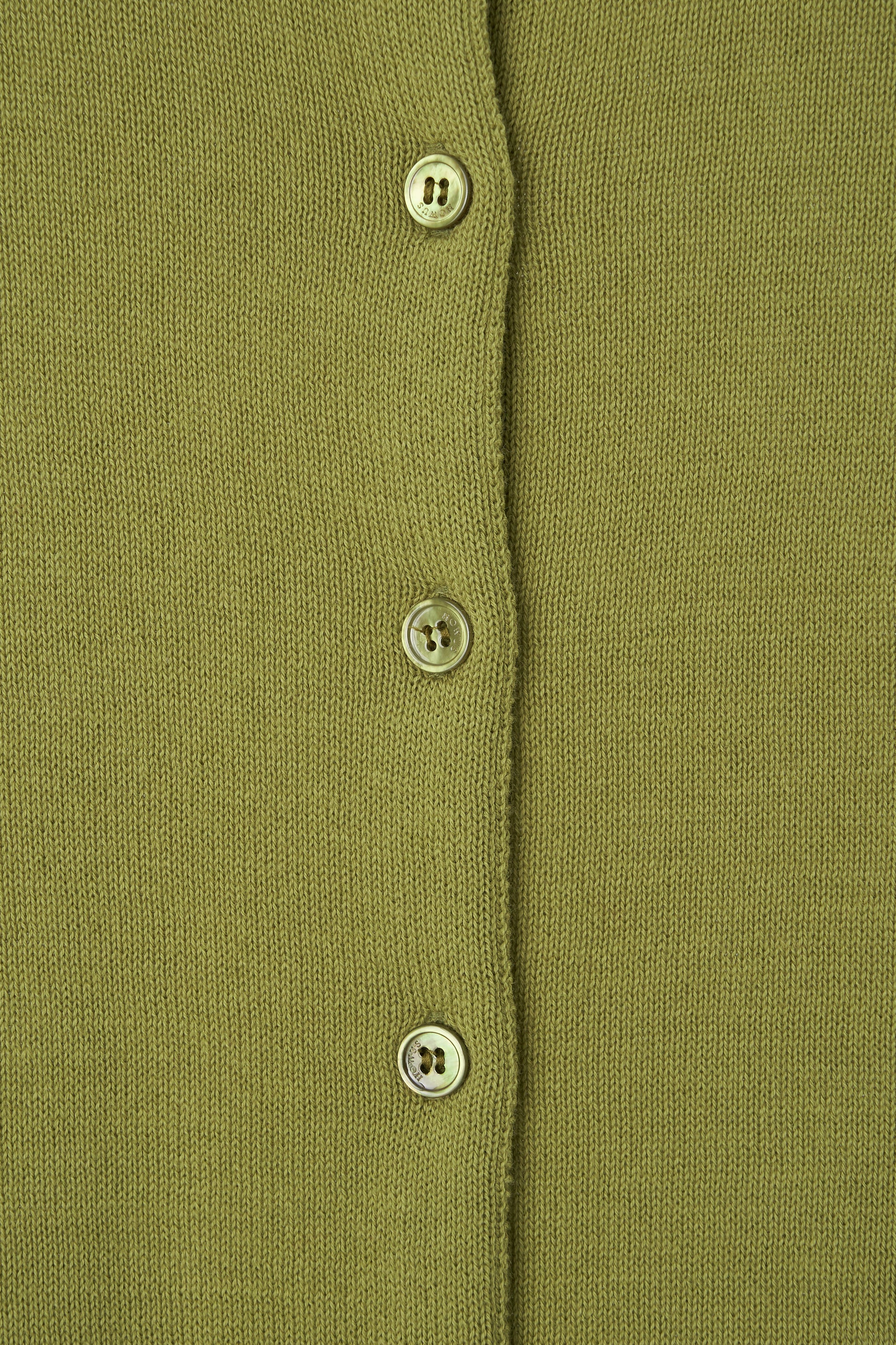 color_olive