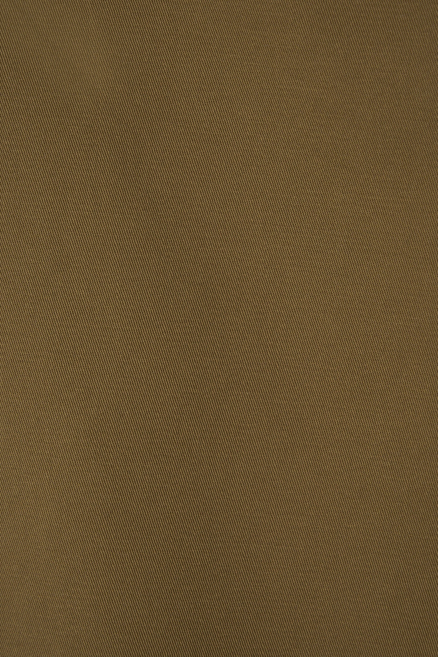 color_camel_olive