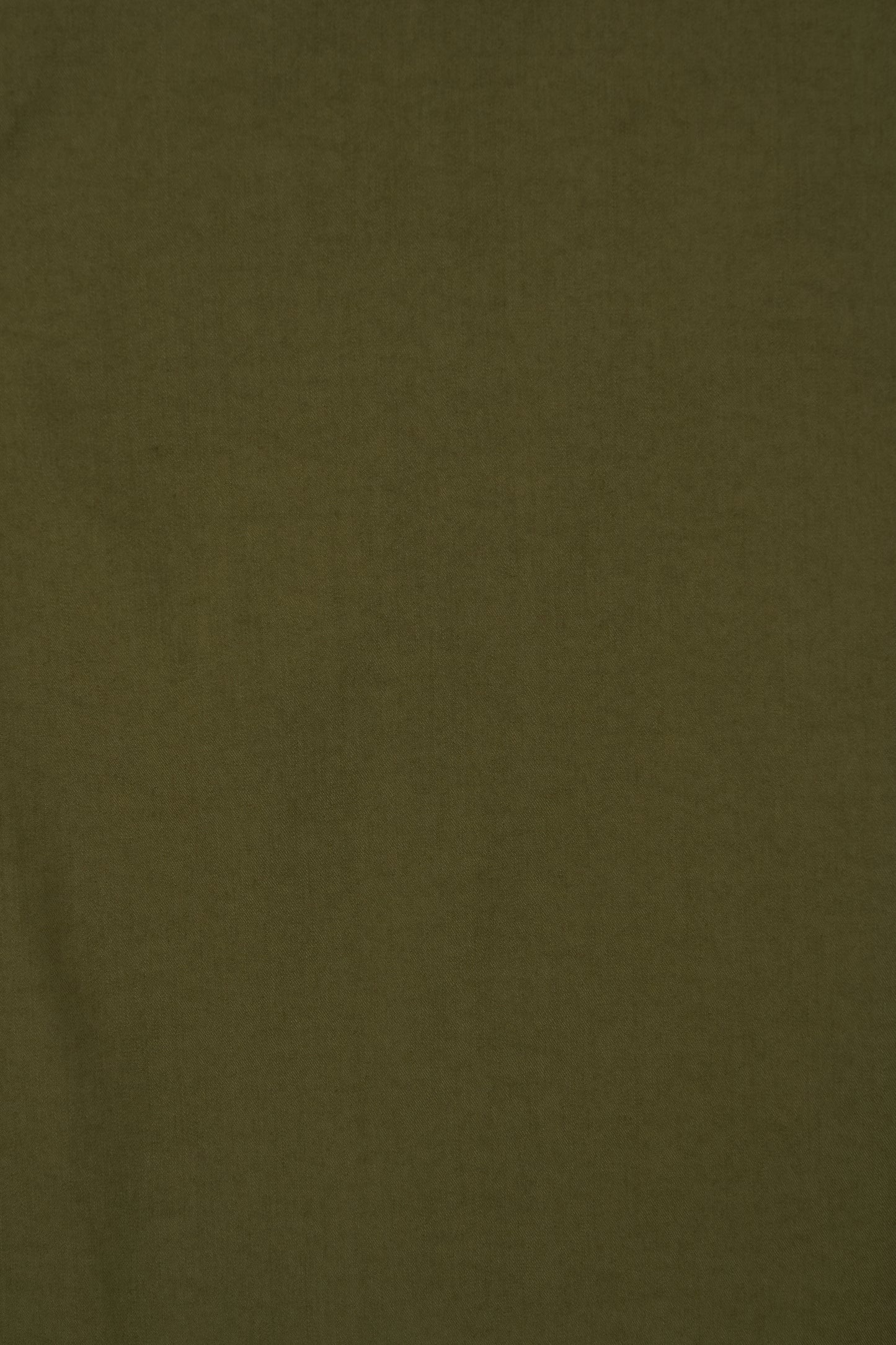 color_olive