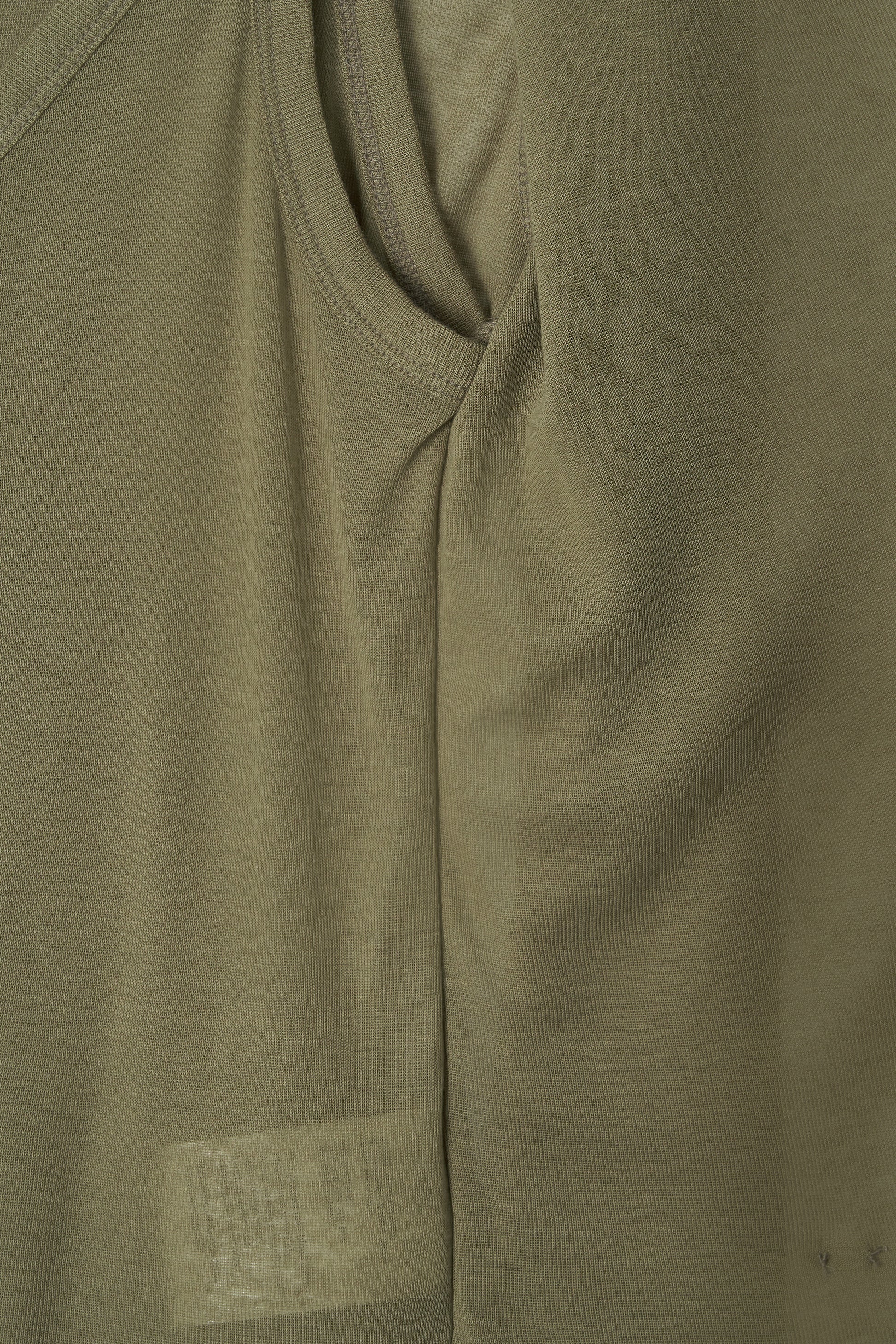 color_pale_olive
