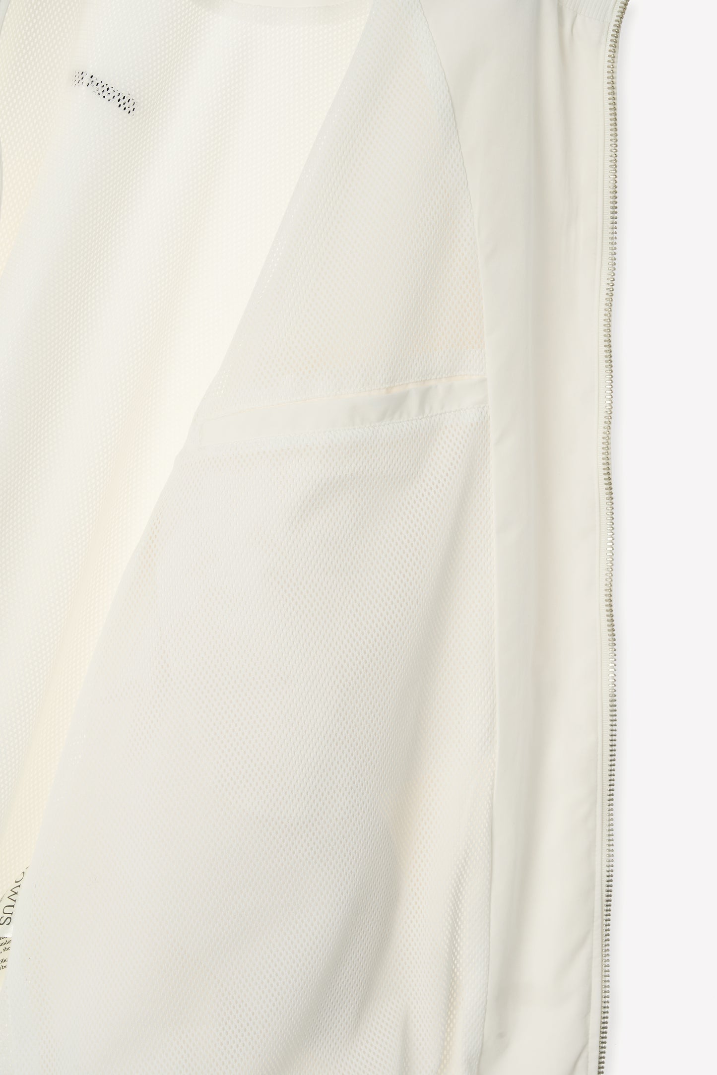 color_ivory