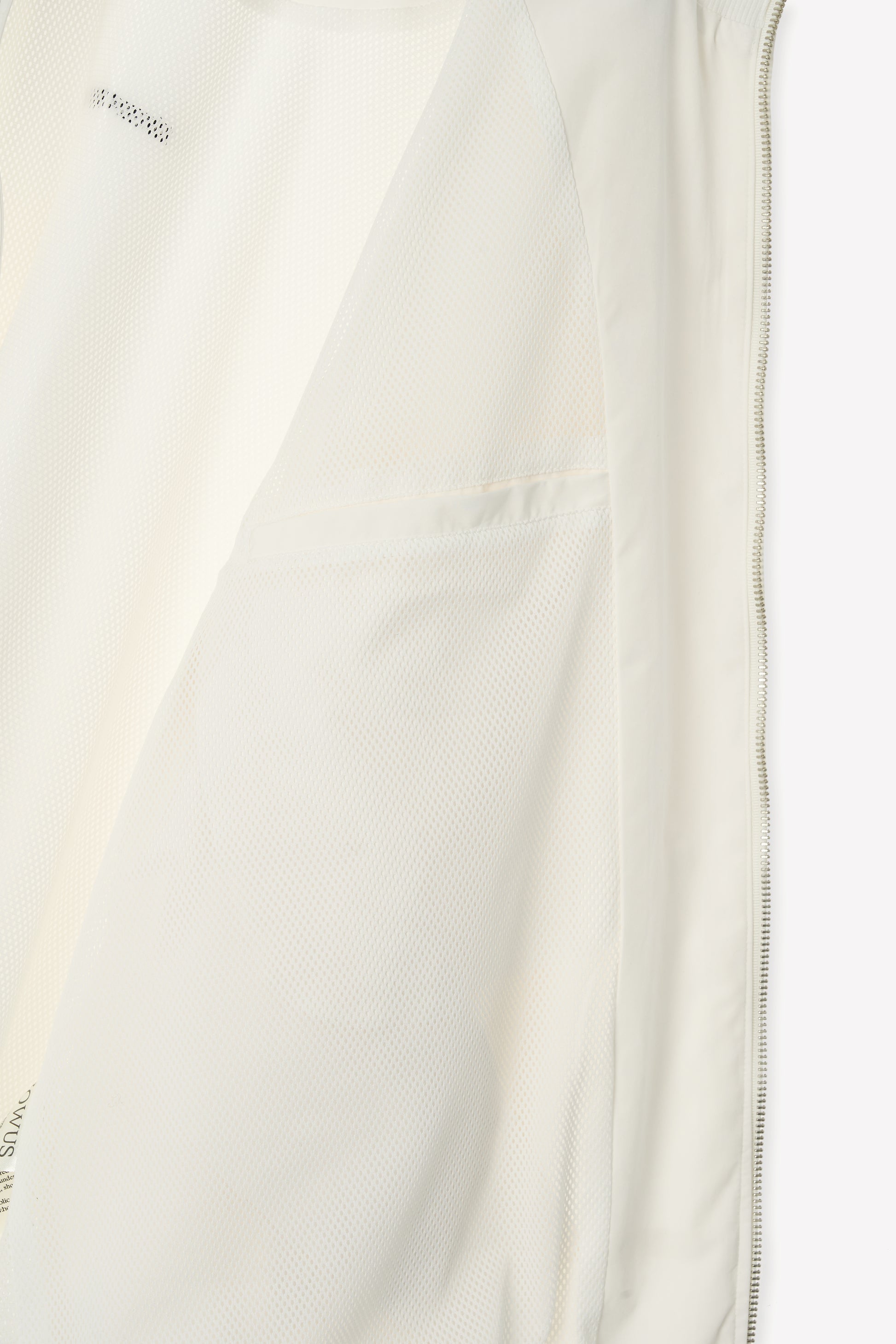 color_ivory